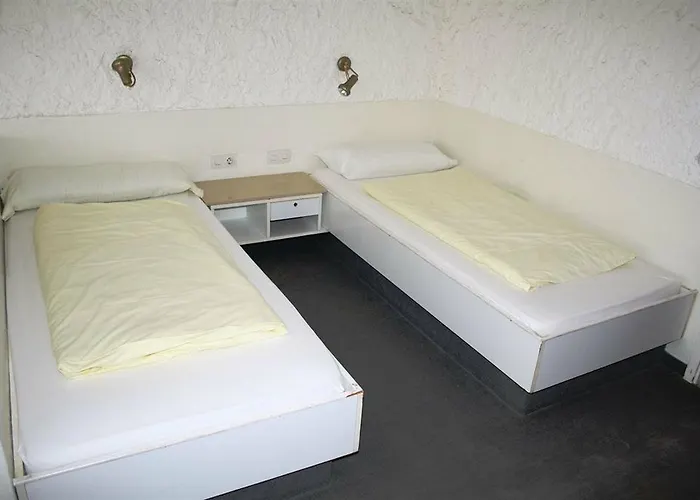 Matorral * مورو ذيل خابلِ